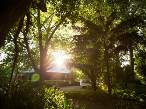 Botanic Gardens Restaurant - Tourism Brisbane 0
