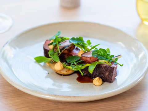Botanic Gardens Restaurant - Tourism Brisbane 2