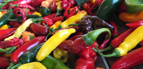 Hot Chilli Mama - Tourism Brisbane 2