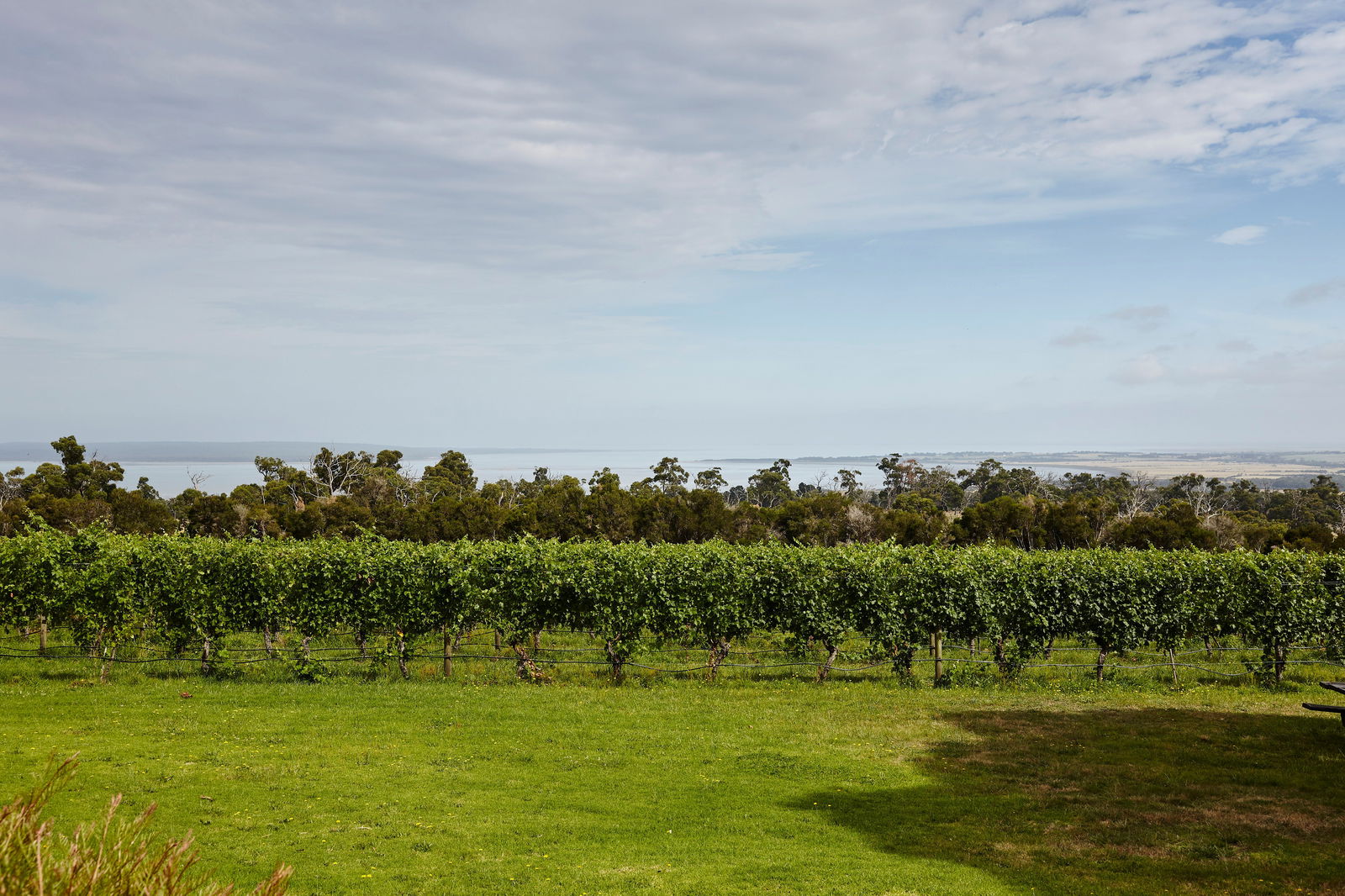 Adams Estate VIC Brisbane Tourism