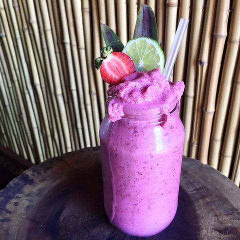 Jungle - Brisbane Tourism 0