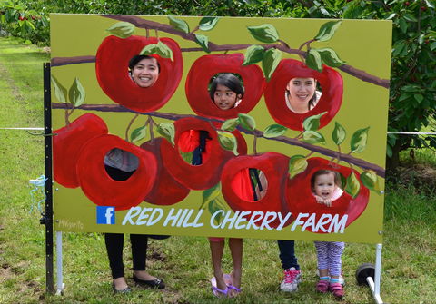 Red Hill Cherry Farm - Tourism Brisbane 1