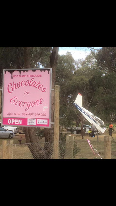 Chocolates For Everyone - Tourism Brisbane 1