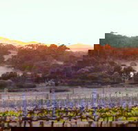 Howling Wolves Wines - Tourism Brisbane