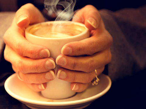 J & L Coffee Roasters And Chocolatiers - Brisbane 4u 0