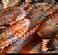 Mr Espresso - Ramsgate - Tourism Brisbane