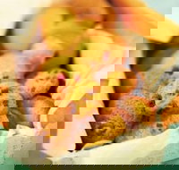 Mrs. Fields - Baldivis - Tourism Brisbane