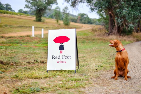 Red Feet Wines - Brisbane Tourism 2