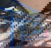 Daily Catch - Tourism Brisbane