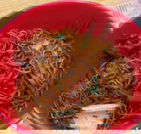 Noodle World - Tourism Brisbane