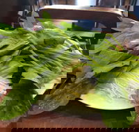 The Cube Hot Pot - Tourism Brisbane