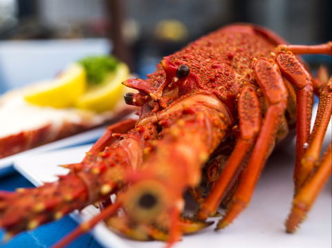 Freycinet Marine Farm - Tourism Brisbane 0