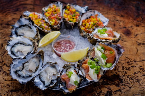 Freycinet Marine Farm - Tourism Brisbane 1