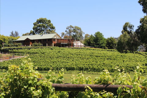 Djinta Djinta Winery - Tourism Brisbane 0