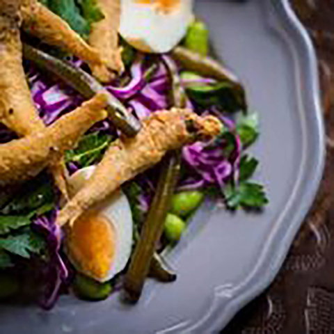 Dog And Monocle - Tourism Brisbane 2