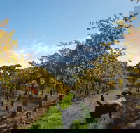 Ruddenklau Wines - Tourism Brisbane