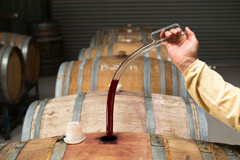 Herbert Vineyard Cellar Door - Tourism Brisbane 1