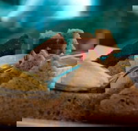 La Cantina - St Leonards - Tourism Brisbane