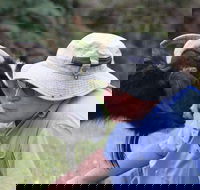 Providence Vineyards - Tourism Brisbane