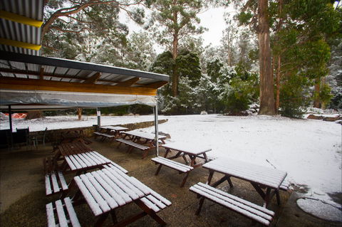 Waterfalls Cafe & Gallery - Brisbane Tourism 0