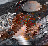 Cold Rock Ice Creamery - Surfers Paradise - Tourism Brisbane