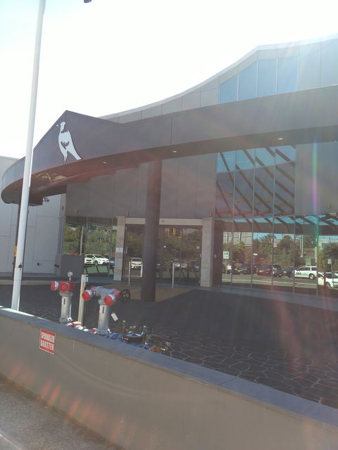 Magpies Waitara - Brisbane Tourism 0