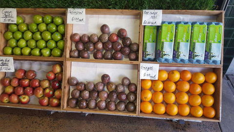 Melonhead - Brisbane Tourism 0