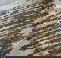 The Chocolate Well - Tourism Brisbane