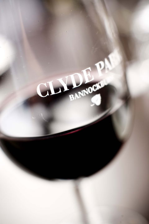 Clyde Park Vineyard & Bistro - Tourism Brisbane 0