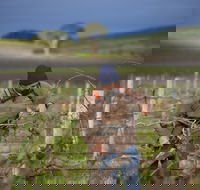 Kurtz Family Vineyards - Brisbane Tourism