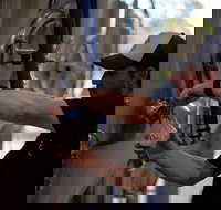 Wild Hop Brewing Company - Tourism Brisbane