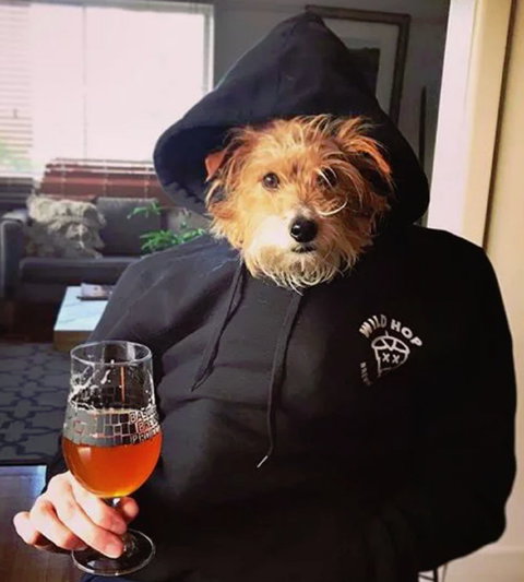 Wild Hop Brewing Company - Tourism Brisbane 1