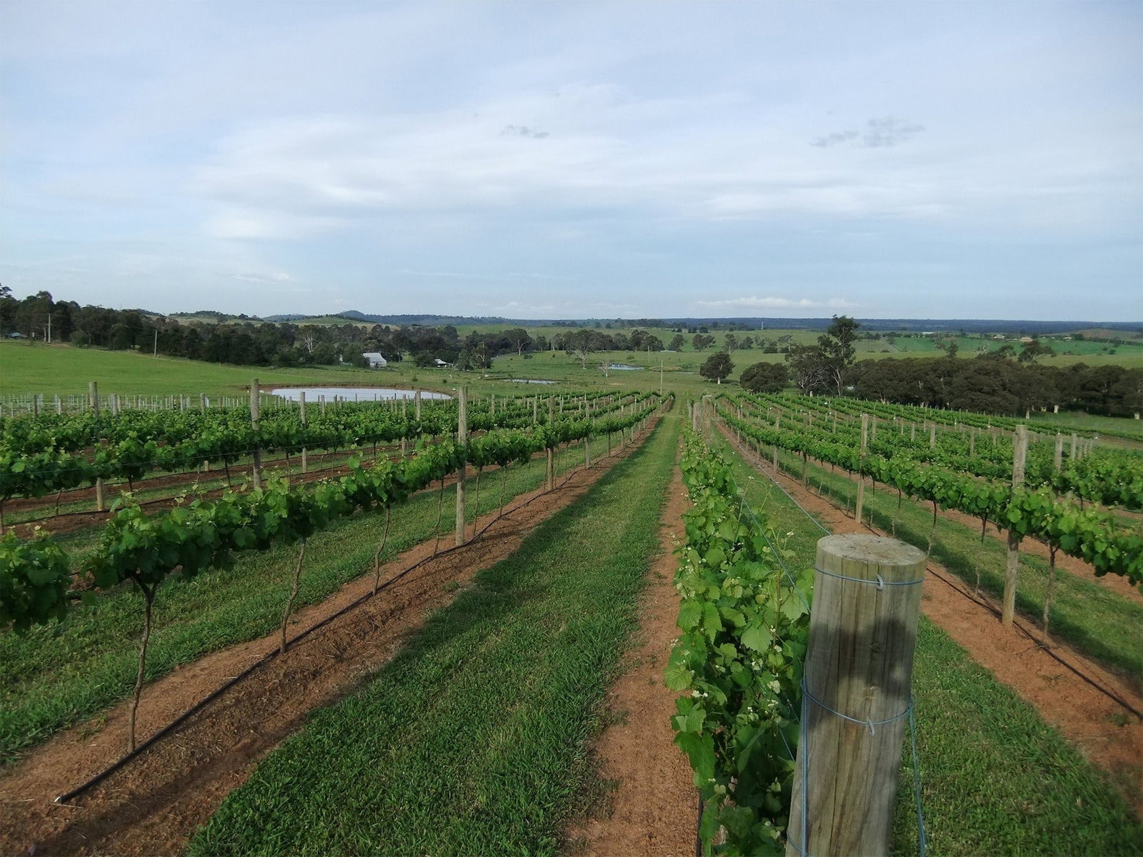Menangle NSW Brisbane Tourism
