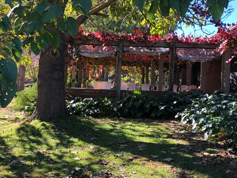 The Pressing Shed Cafe & Restaurant At Nullamunjie Olive Groves - Brisbane Tourism 1