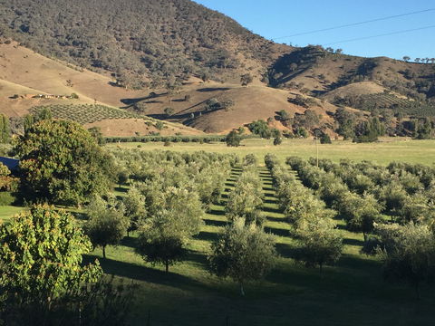 The Pressing Shed Cafe & Restaurant At Nullamunjie Olive Groves - Brisbane Tourism 2