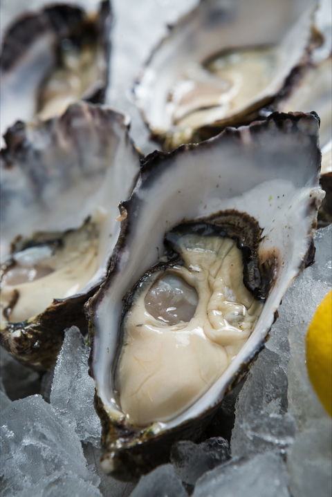 Lobster Shack Tasmania - Tourism Brisbane 1