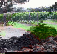 Spring Vale Vineyard - Tourism Brisbane
