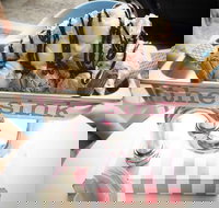 Terrigal Ice Creamery - Brisbane Tourism