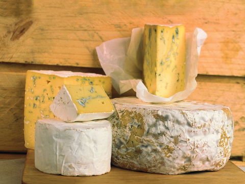Cheese Shop At Makers' Workshop Burnie - The - Tourism Brisbane 1