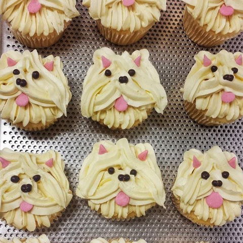 Cupcake Central - Narre Warren - Brisbane Tourism 0