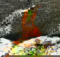 Cafe Bear and Scoobs - Tourism Brisbane