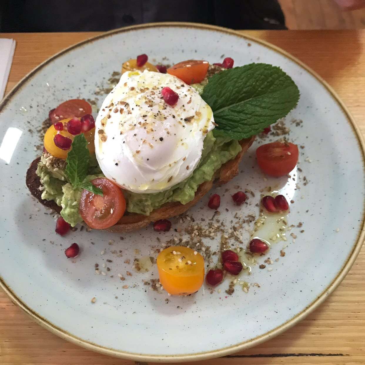 Manorina VIC Tourism Brisbane