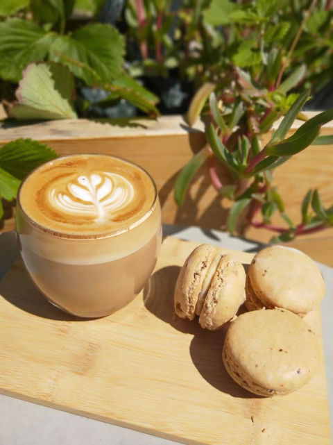 Pandesal Bakery - Tourism Brisbane 1