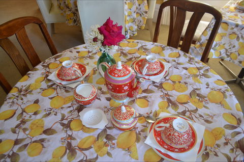 Lazy Teas - Brisbane Tourism 2