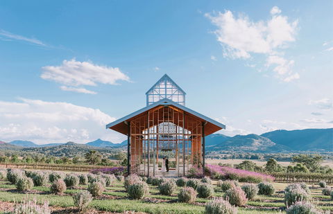 Kooroomba Vineyard And Lavender Farm - Tourism Brisbane 0