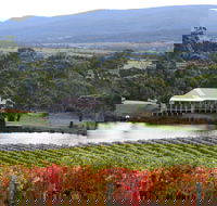 Milton Vineyard