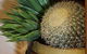 Cactus Jack's Bar & Grill - thumb 2