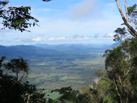 Platypus Lodge Restaurant And Cafe - Tourism Brisbane 0