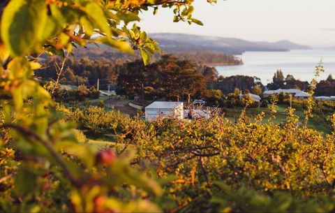 The Woodbridge Smokehouse - Tourism Brisbane 0