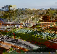 Homage - Tourism Brisbane